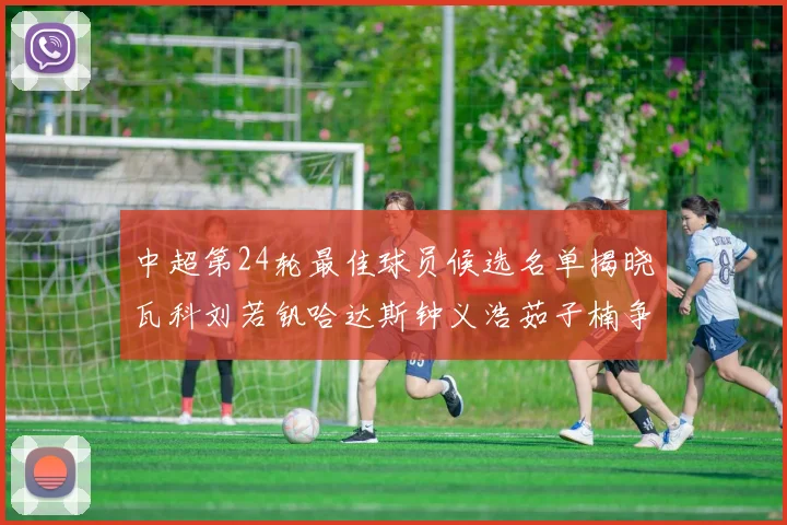 中超第24轮最佳球员候选名单揭晓瓦科刘若钒哈达斯钟义浩茹子楠争夺荣誉