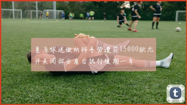 皇马球迷做纳粹手势遭罚15000欧元并关闭部分看台执行缓期一年