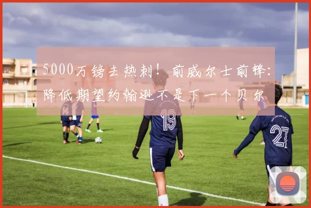 5000万镑去热刺！前威尔士前锋：降低期望约翰逊不是下一个贝尔