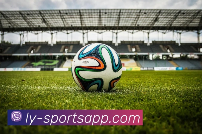 乐鱼体育平台生态图