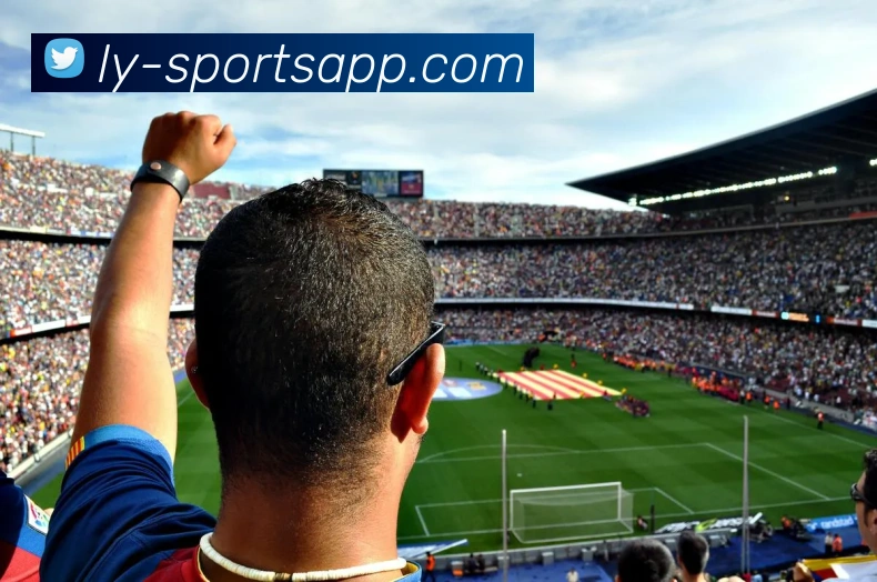 乐鱼体育APP 封面图